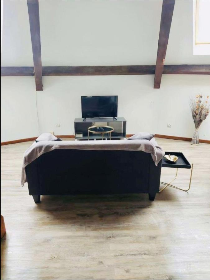 Superbe Appartement Cocooning Proche Des Thermes Vittel Luaran gambar